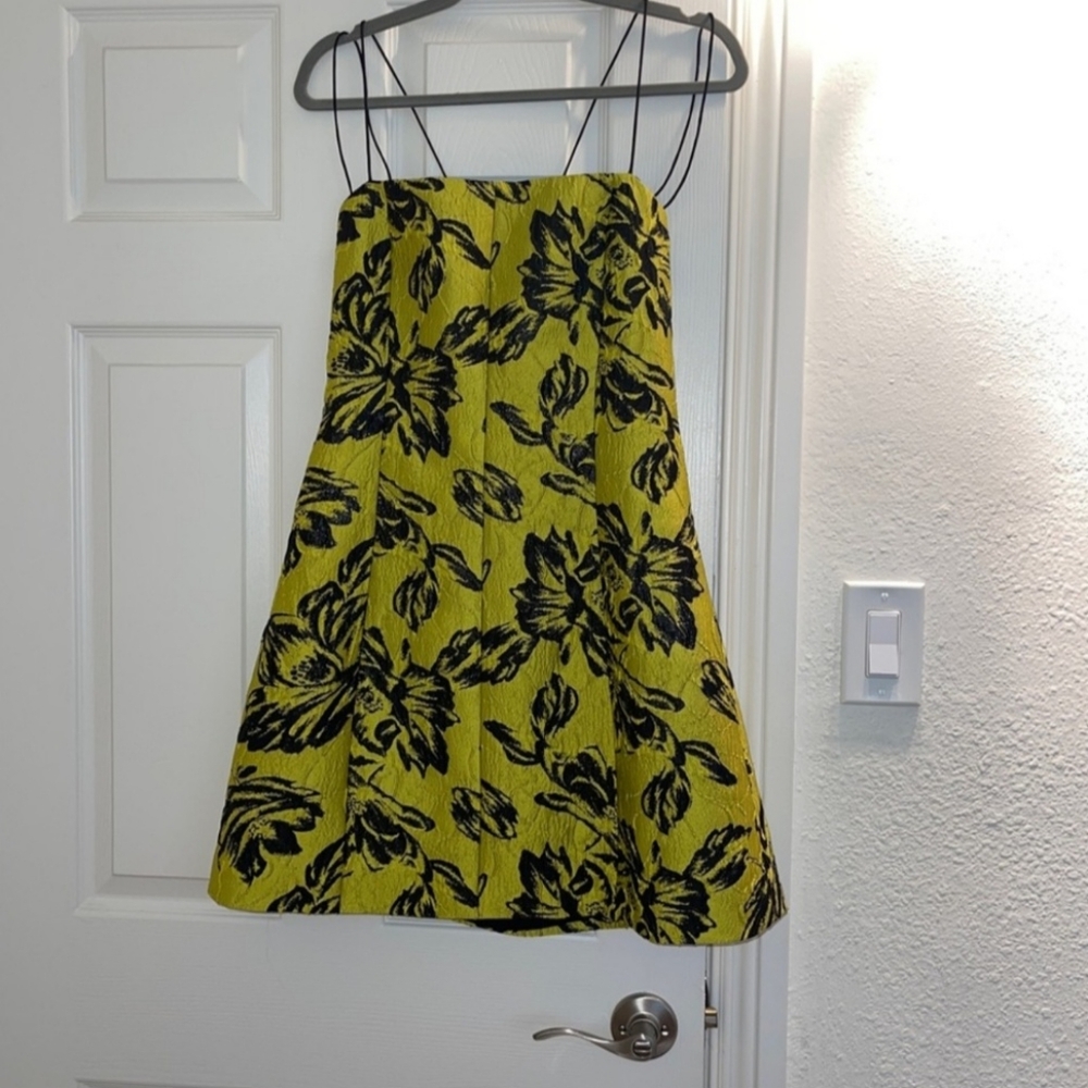 Alice and Olivia dress